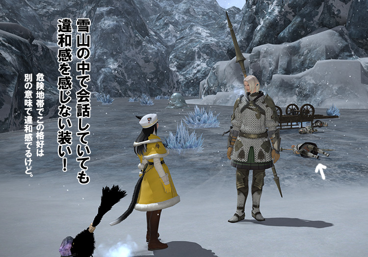 Ariru Kod Blog Entry エオルゼアの思い出13 黄色いコートとアイメリク卿とのお食事会 Final Fantasy Xiv The Lodestone